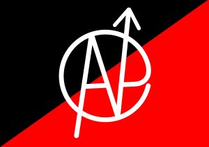 black and red flag, with a white circle combining an A, N and P in an anarcho/squat logo.