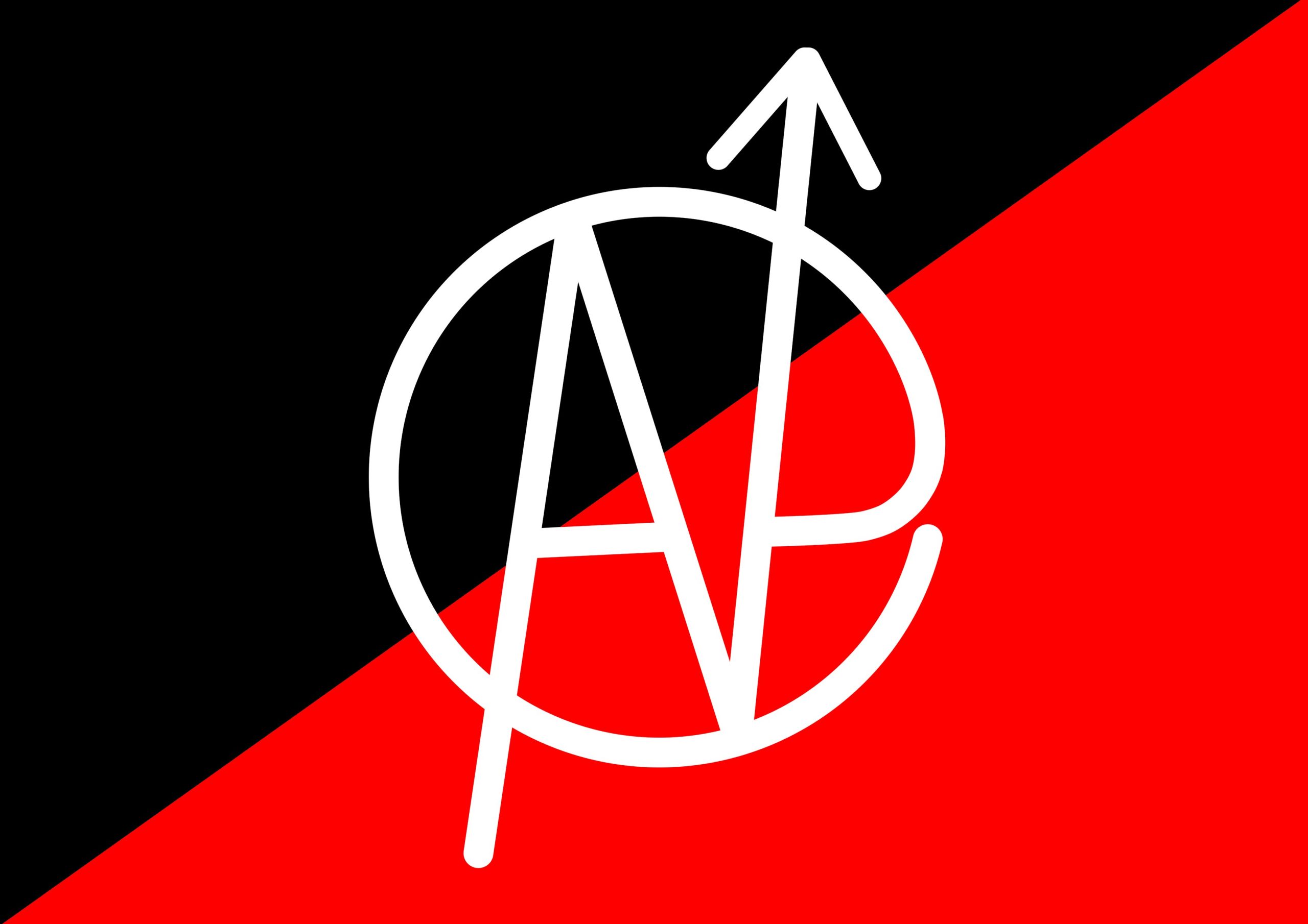 black and red flag, with a white circle combining an A, N and P in an anarcho/squat logo.