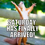 a meme of a squirrel saying SATURDAY HAS FINALLY ARRIVED!. quite random, but it's cute and it was one of the first hits when i searched for 'saturday' ;)
