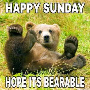 A meme bear laying in the grass, with the text 'happy sunday, hope it's bearable'. Crappy, but it was one of the first hits when i searched 'sunday' ;)